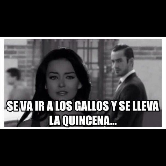 mimis308